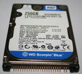 WD2500BEVE Scorpio Blue 2,5 Zoll IDE (NEU)