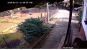 morepic-2